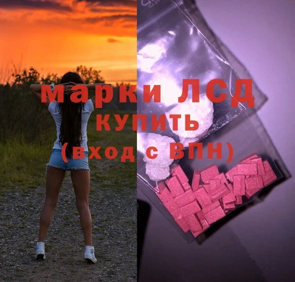 винт Алзамай