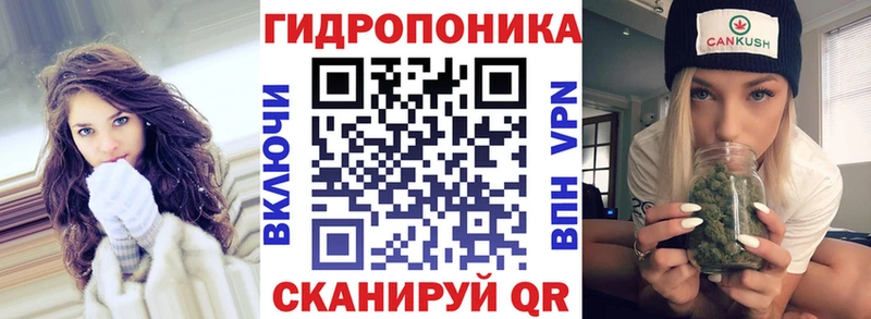 сколько стоит Орёл Канабис MAZAR